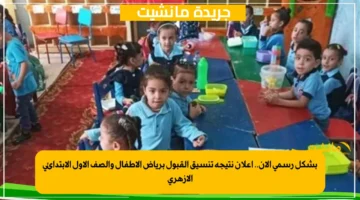 بشكل رسمي الآن.. إعلان نتيجة تنسيق القبول برياض الأطفال والصف الأول الابتدائي الأزهري 1